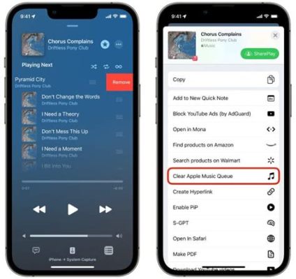 How to Clear Queue on Apple Music: Insights into Managing Your Music Library