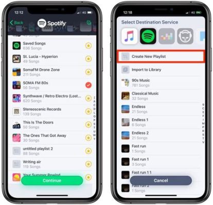 How to Transfer Playlists from Apple Music to Spotify: A Comprehensive Guide with Multiple Perspectives