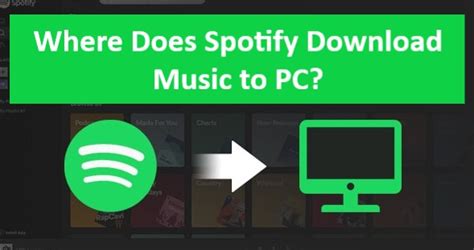 Where Does Spotify Download Music on PC: Unraveling the Digital Melody Maze